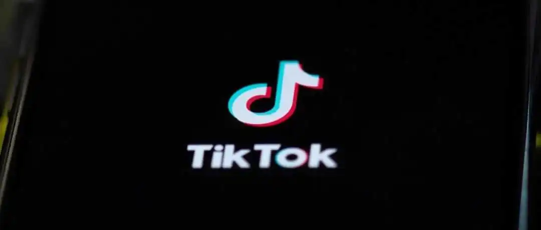 TikTok北美电商,变量中崛起