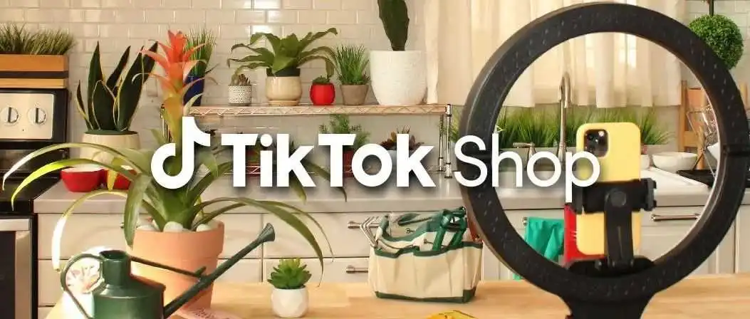 饺子机在TikTok上走红,单个视频播放量超2亿