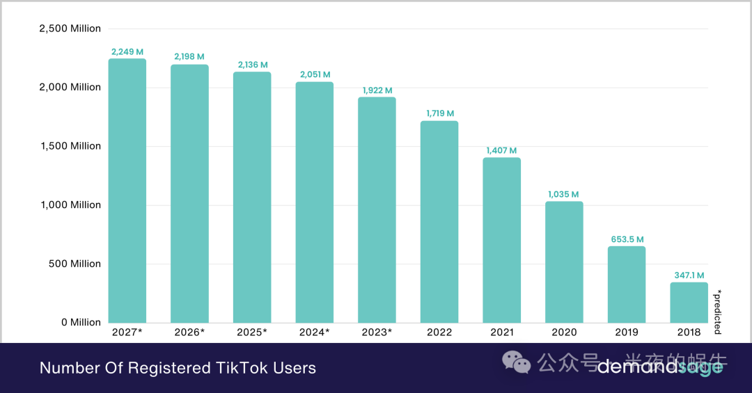 国人之光：2024 年 TikTok 全球用户统计数据【建议转发】