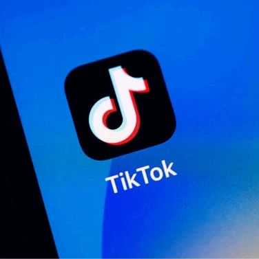 Temu将变成下一个TikTok？TikTok又一地拿下了超350万人！