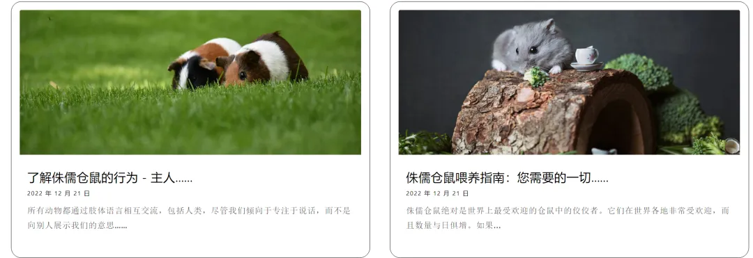 拿下近亿元融资!小宠品牌如何抓住垂类蓝海?