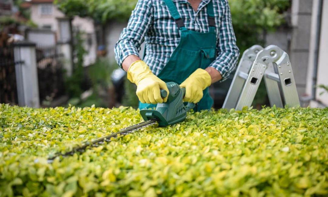 热度飙升4250%，个性化改造催生俄罗斯千亿级DIY市场