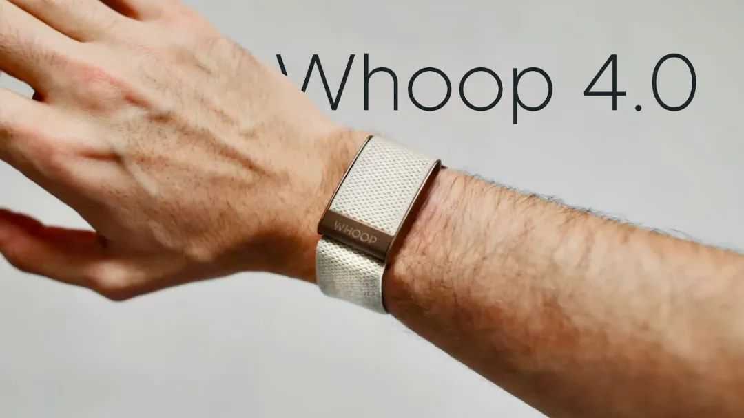 6 months Whoop 4.0: My life has changed.