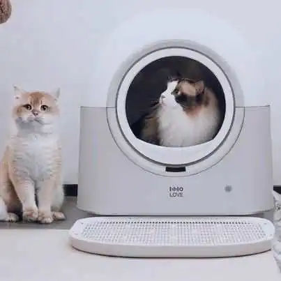 钉钉CEO创立,它靠猫咪“保姆”收割海外铲屎官!