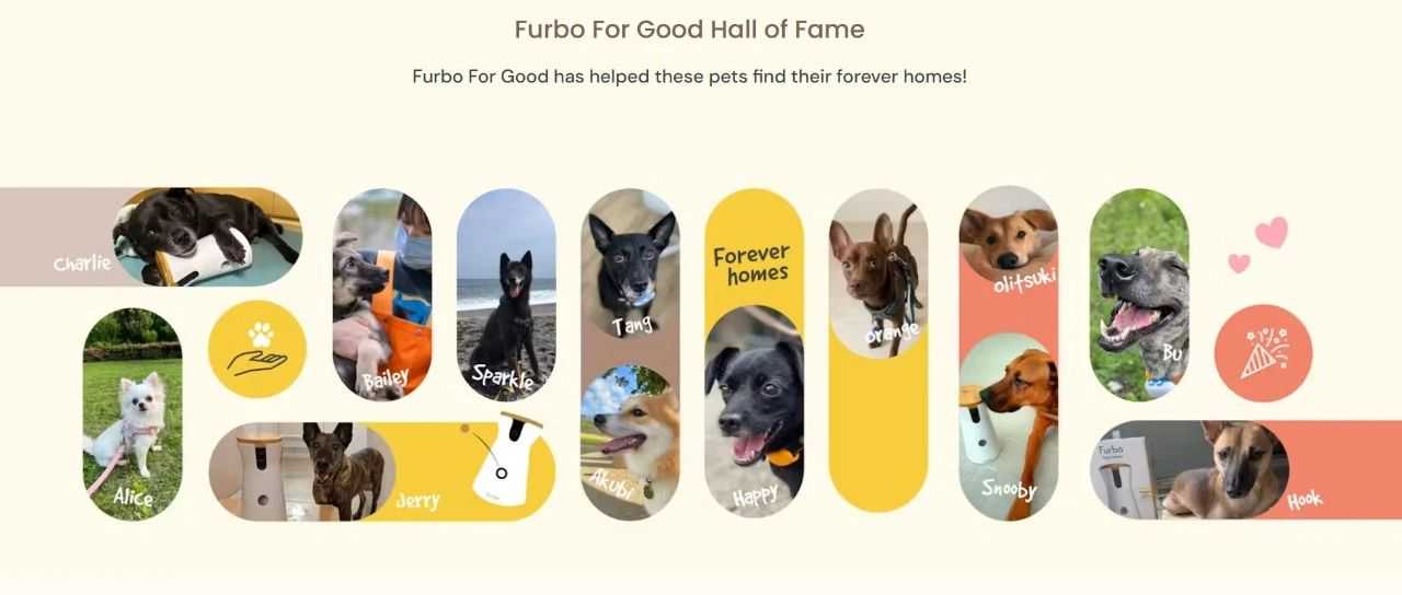 当科技读懂爱:260万粉丝海外博主都在用的宠物神器