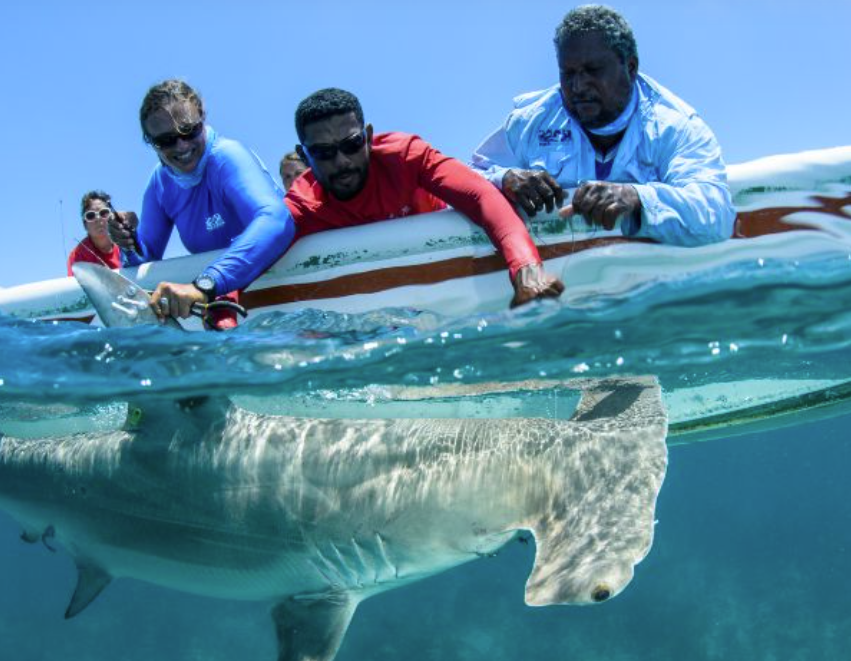 吸粉20万，年销5000万！3个小伙卖沙滩巾火爆全球