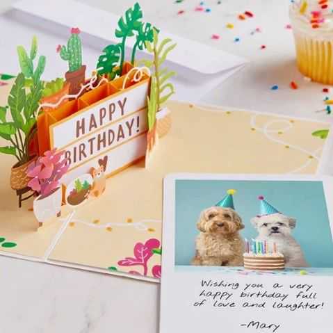 2人团队一年狂揽2.8亿营收?有独立站卖家靠"立体 + 定制",一统北美市场!