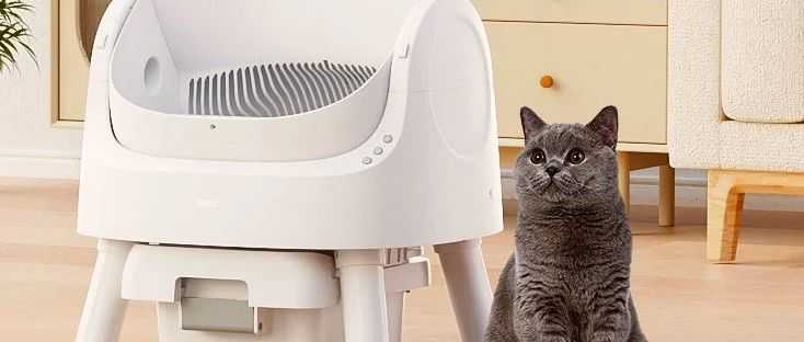 两个深圳女生的TikTok破圈记,靠一款智能猫砂盆在美国赚了2亿!