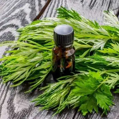 单品爆卖350万,热销43国,老外爱上中国这棵草药 | 行业热点