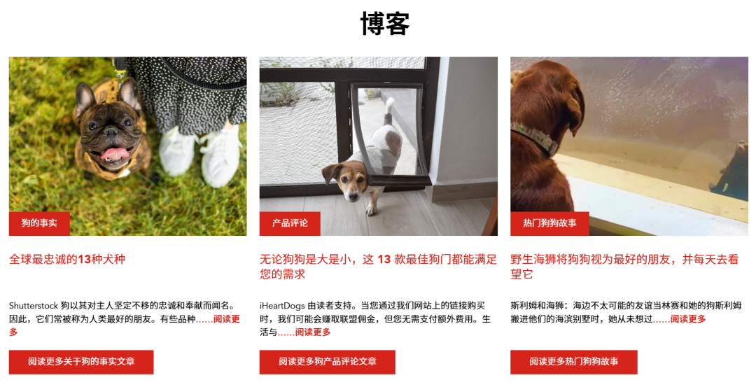 一条手链狂揽千万美金，它在宠物赛道火出圈！