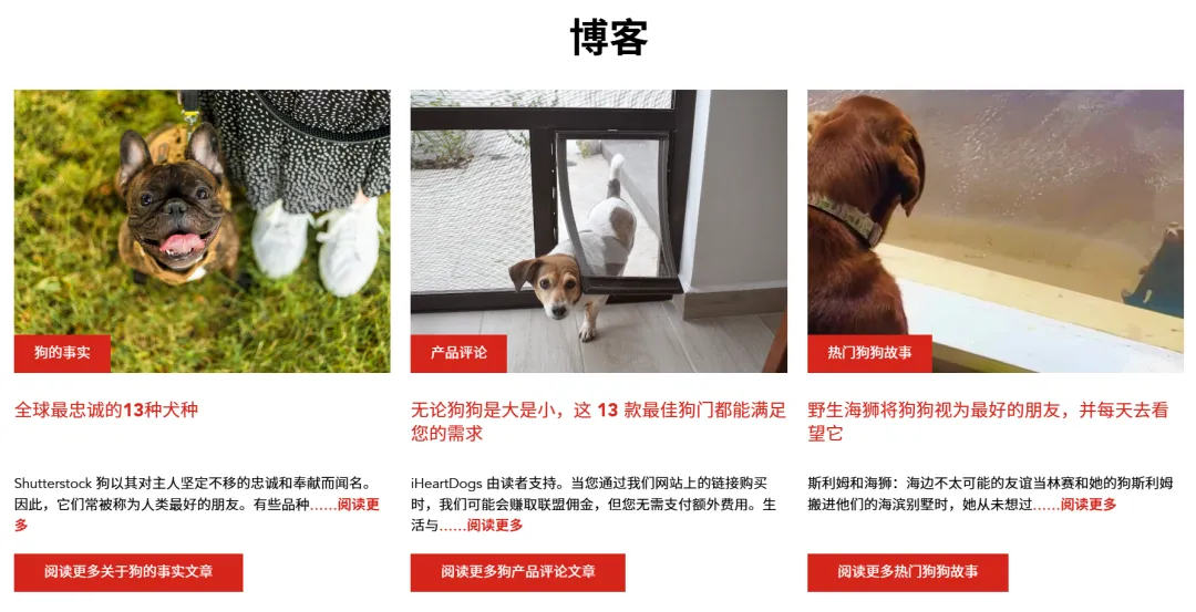 一条手链狂揽千万美金,它在宠物赛道火出圈!