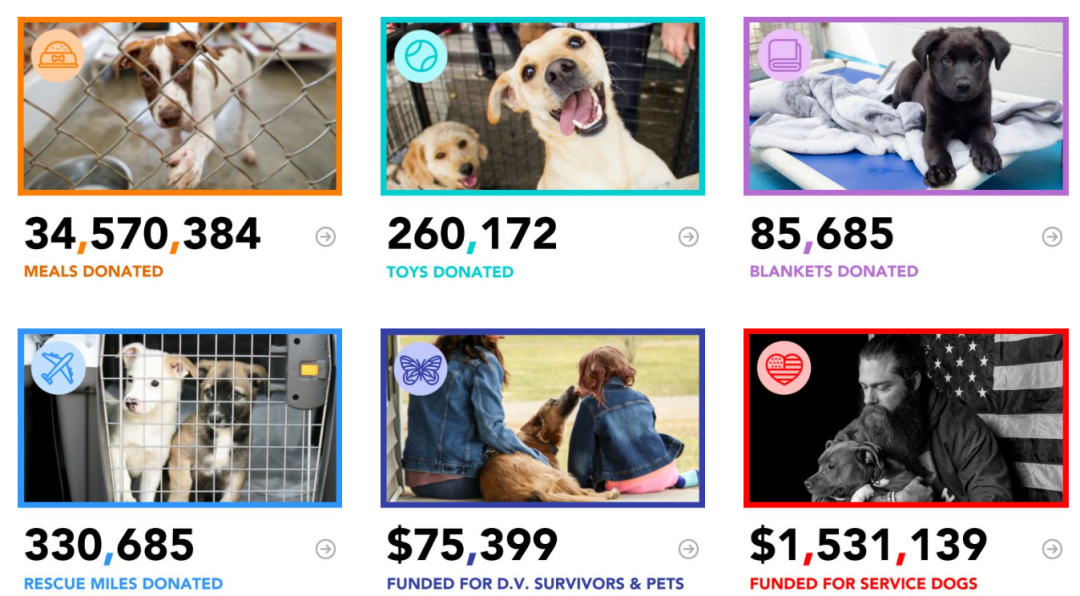 一条手链狂揽千万美金，它在宠物赛道火出圈！