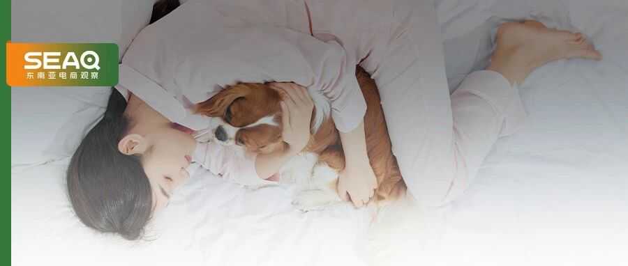 溢价几十倍的宠物殡葬,让东南亚卖家游向百亿蓝海