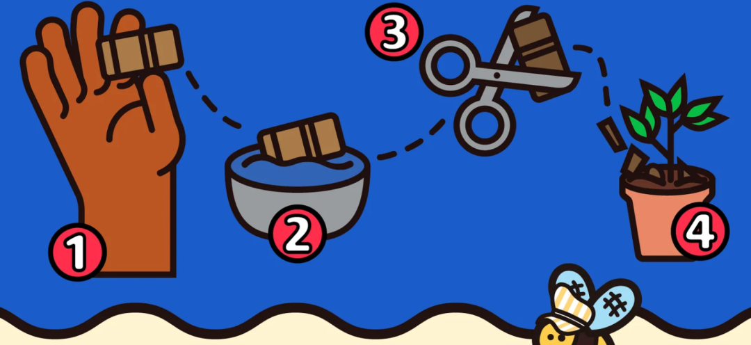 从宿舍小实验到Z世代爆款,一男大学生用200美元打造的润唇膏撬动市场