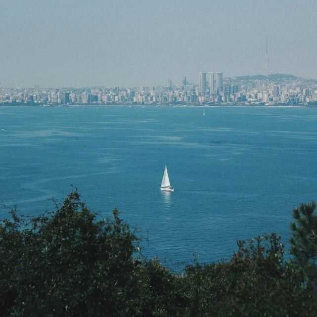 天猫卖家集体出海,阿里转“守”为“攻”