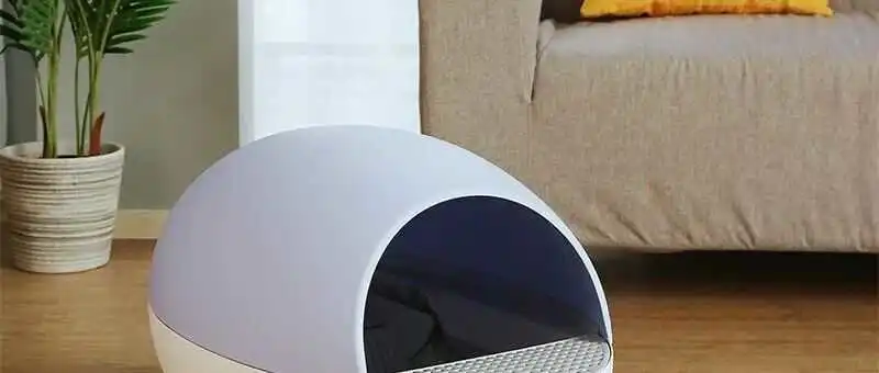 TikTok Shop选品攻略:3个算法推荐工具+5大趋势品类,新手也能快速出单