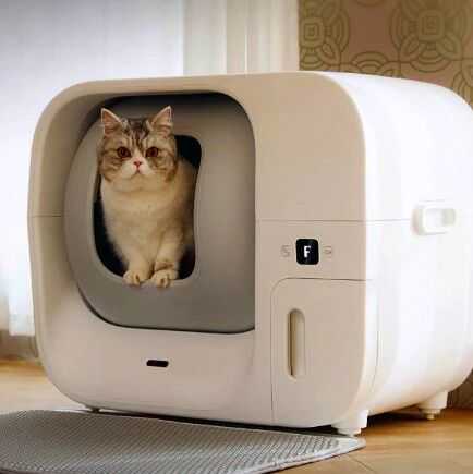 获百万美元融资，一度售罄，国产智能猫砂盆风靡海外