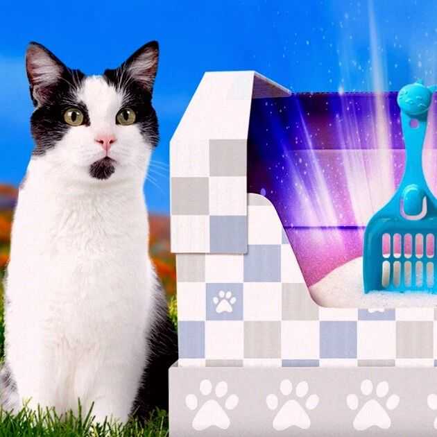 这个看似普通的独立站品类,居然一年卖出千万美金!