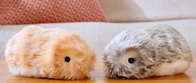 众筹9500万!莫夫林,跨境电商的下一个赛道风口