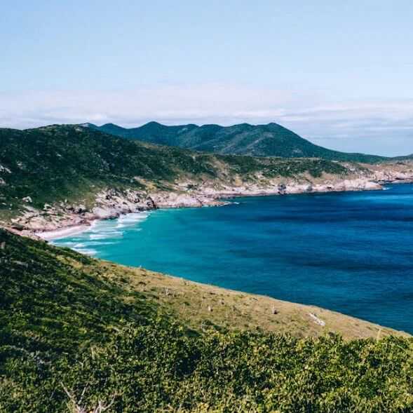 到巴西淘金去,一天卖出3000单