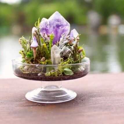 狂销10万+单,爆卖1500万!小众水晶盆栽海外赚麻了