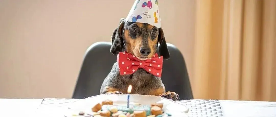 飙涨超400%！年轻人又撑起了一门新生意