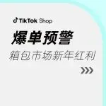 谁能接住?东南亚新年旅行潮引爆箱包消费,TikTok Shop 爆单正当时!