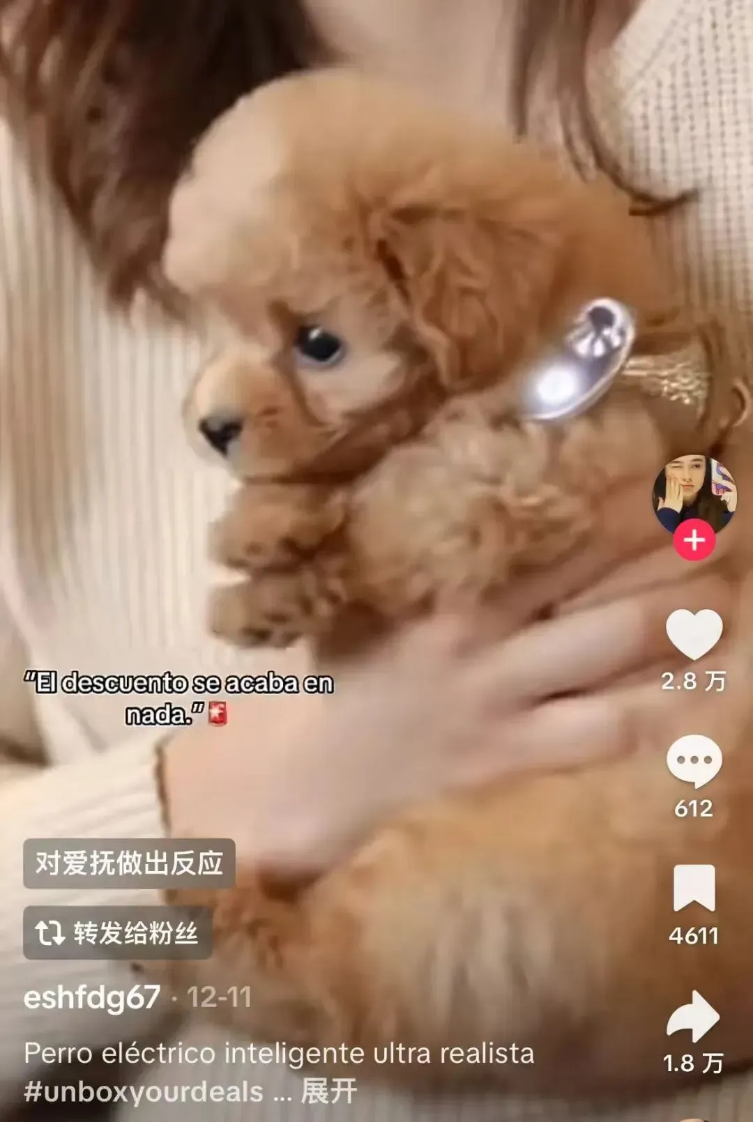 爆卖1.1万件!西班牙TikTok近7天销量王,这款AI机器狗有何魔力?