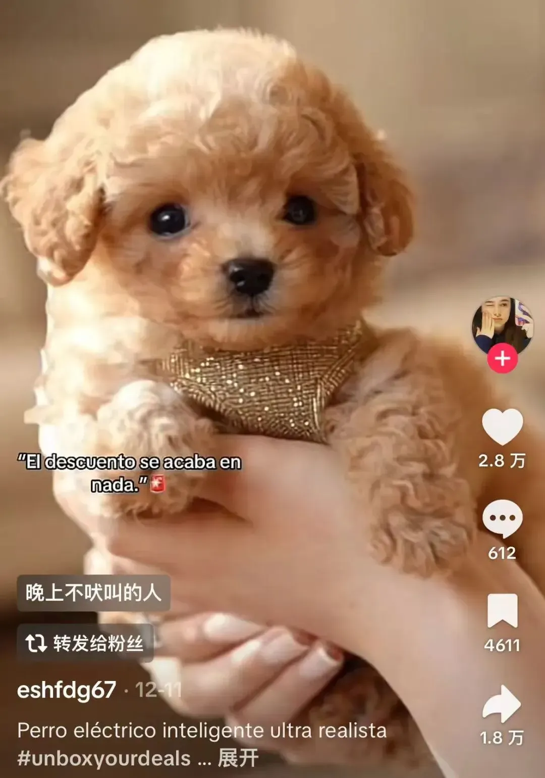 爆卖1.1万件!西班牙TikTok近7天销量王,这款AI机器狗有何魔力?