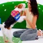 年收10亿！国货宠物品牌，拿下细分品类第一