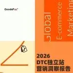 《2026全球独立站营销洞察报告》解读:流量在哪里,机会就在哪里