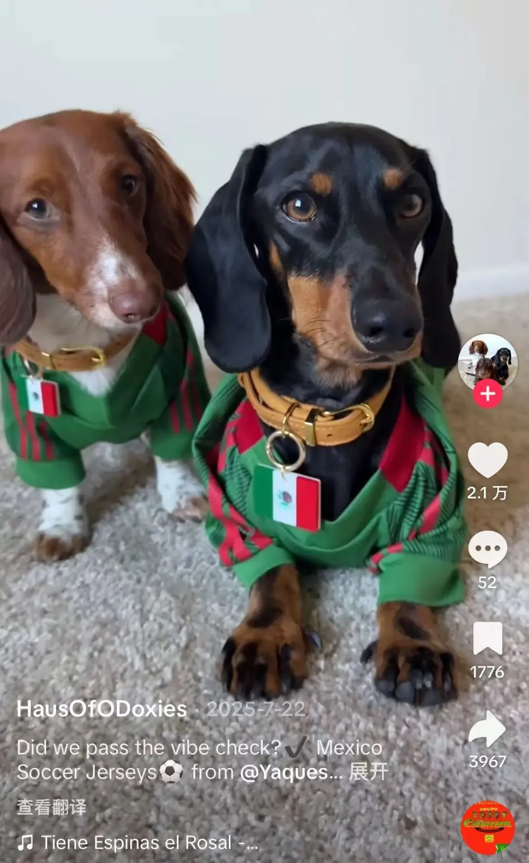 2026美加墨世界杯,又爆单了!TikTok正把足球变成一场“全球消费大狂欢”