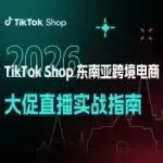 大促不止于打折:TikTok Shop东南亚跨境电商节点直播实战指南