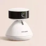 年入破亿！深圳跨境大佬竟靠智能喂食器做到头部品牌