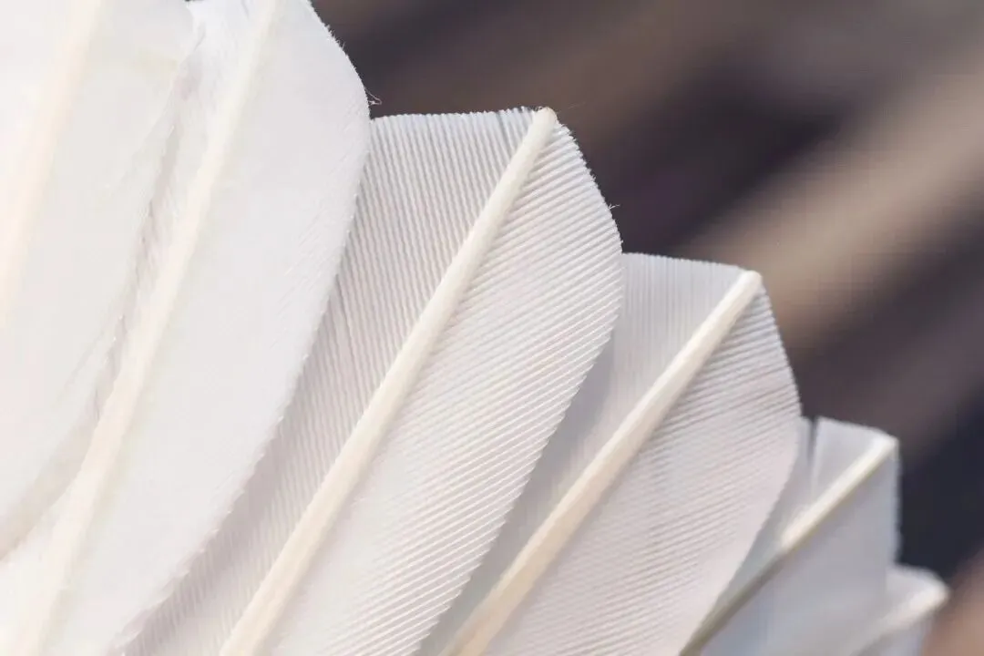 送人都不要？湖南夫妻靠它年入1个亿