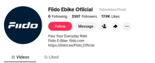 深圳 Fiido 硬闯欧美 E-bike 赛道,靠出海一年进账 7 个亿!