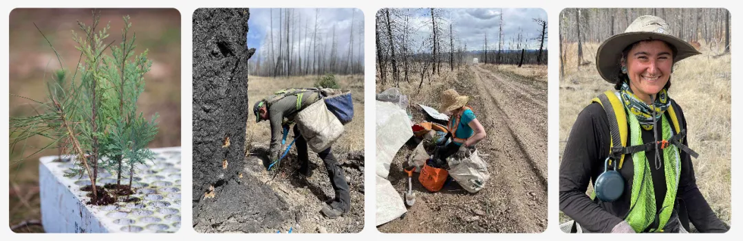 年销售额超2.2亿美元、远销150多个国家，ELEGOO厉害的不只是会卖货