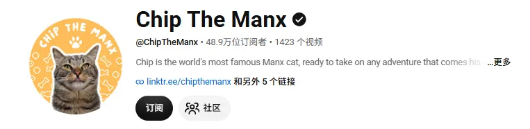 靠小众赛道年入10亿?这个宠物品牌凭什么拿捏全球铲屎官?