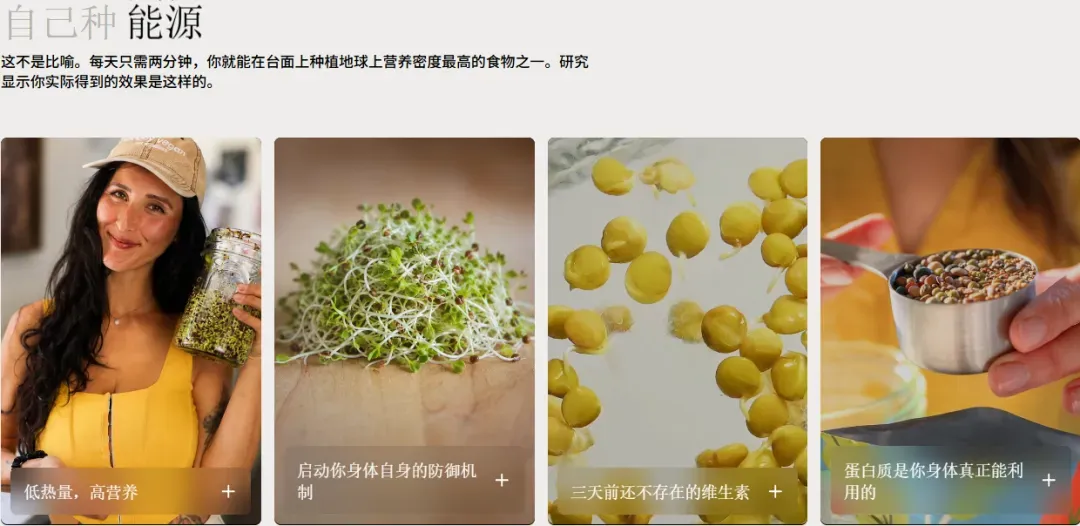 “美版罗永浩”亲自带货,一个玻璃罐卖80美元还能月销百万?