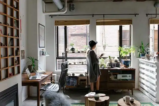 tiktok宠物号如何引流导粉(tiktok宠物博主)