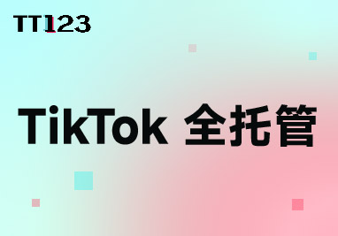 TikTok 全托管