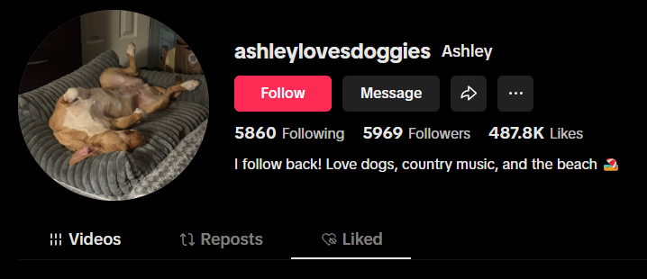 美国ashleylovesdoggieshttps://www.tiktok.com/@ashleylovesdoggies?shop_region=US1