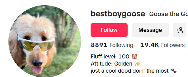 美国bestboygoosehttps://www.tiktok.com/@7471832104738341934(+1)9314947149