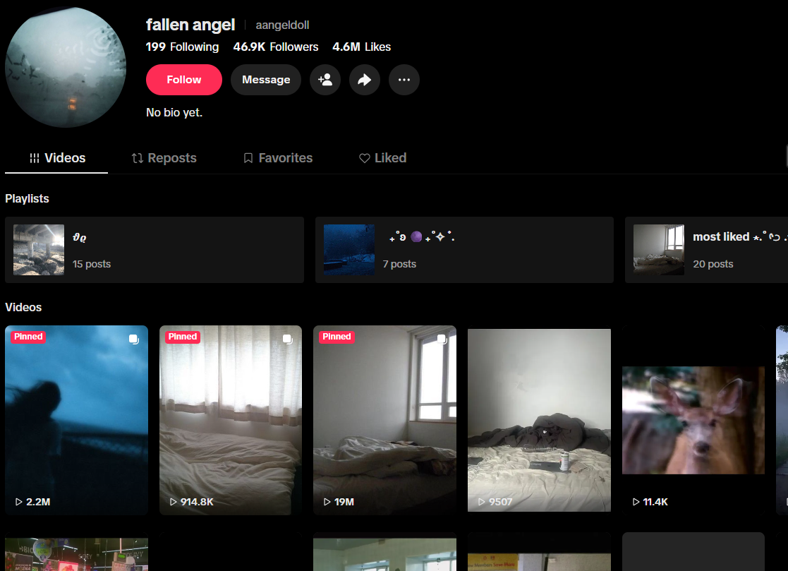 美国aangeldollhttps://www.tiktok.com/@aangeldoll?lang=en/