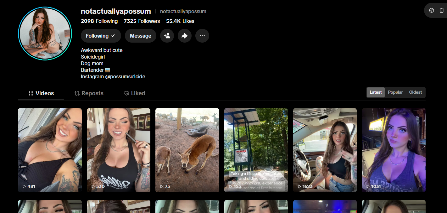美国notactuallyapossumhttps://www.tiktok.com/@notactuallyapossum/