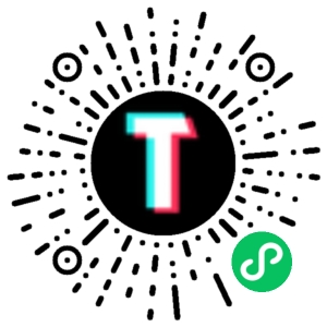 TT123跨境小程序码