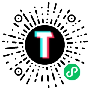 TT123跨境小程序码
