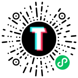 TT123跨境小程序码
