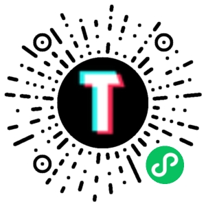 TT123跨境小程序码