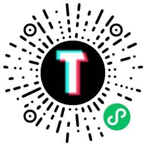 TT123跨境小程序码